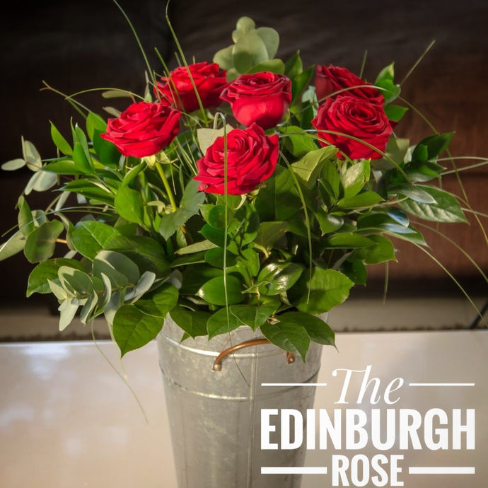 Edinburgh Rose